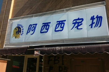 &#21322;&#23707;&#32593;&#39029;&#29256;&#45;&#21322;&#23707;&#98;&#97;&#110;&#100;&#97;&#111;&#65288;&#20013;&#22269;&#65289;